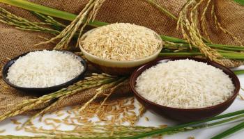 [n] Công ty xuất khẩu gạo hàng đầu Việt Nam