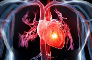 [n] Phòng khám tim mạch uy tín chất lượng tại TP. HCM