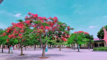 Trường tiểu học tốt nhất huyện Nghi Lộc, Nghệ An