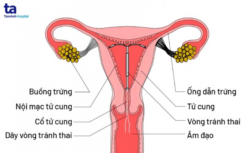 Bệnh viện Đa Khoa Tâm Anh