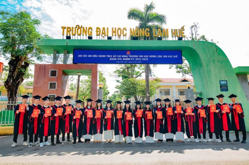 Đại Học Nông Lâm - Đại học Huế