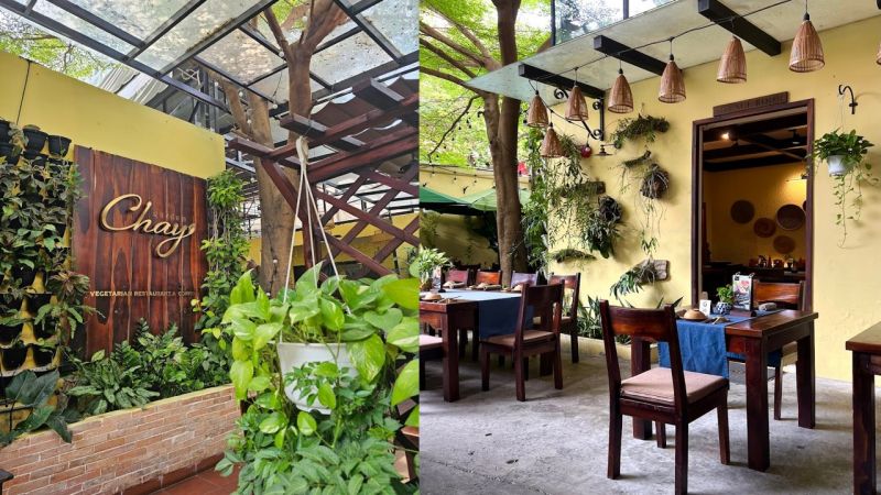 Nhà hàng Chay Garden khởi nguồn từ mong muốn tạo nên một khu vườn nhỏ tách biệt với những tất bật, hối hả của Sài Gòn