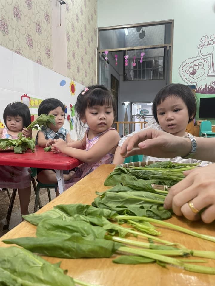 Mầm non Hoa Mai