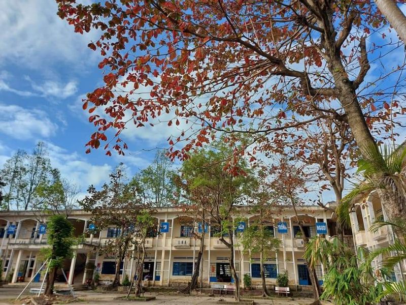 Hình ảnh