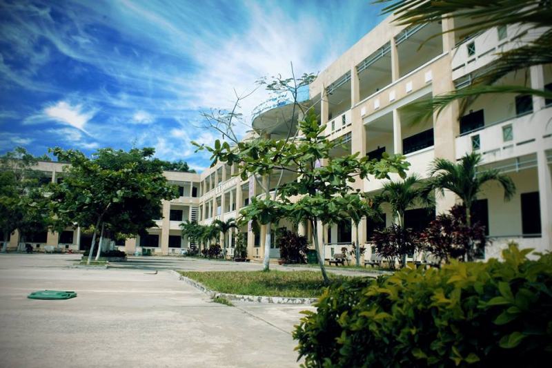 Hình ảnh