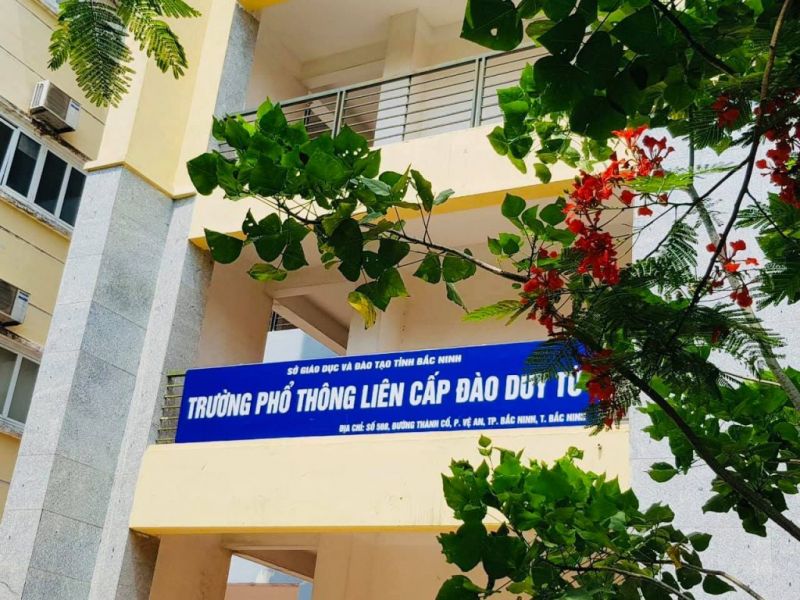 Trường Phổ thông liên cấp Đào Duy Từ