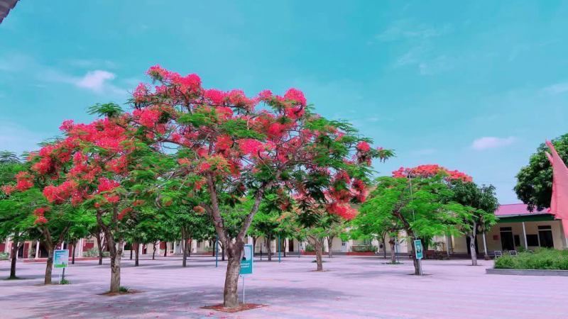 Trường Tiểu Học Nghi Phong
